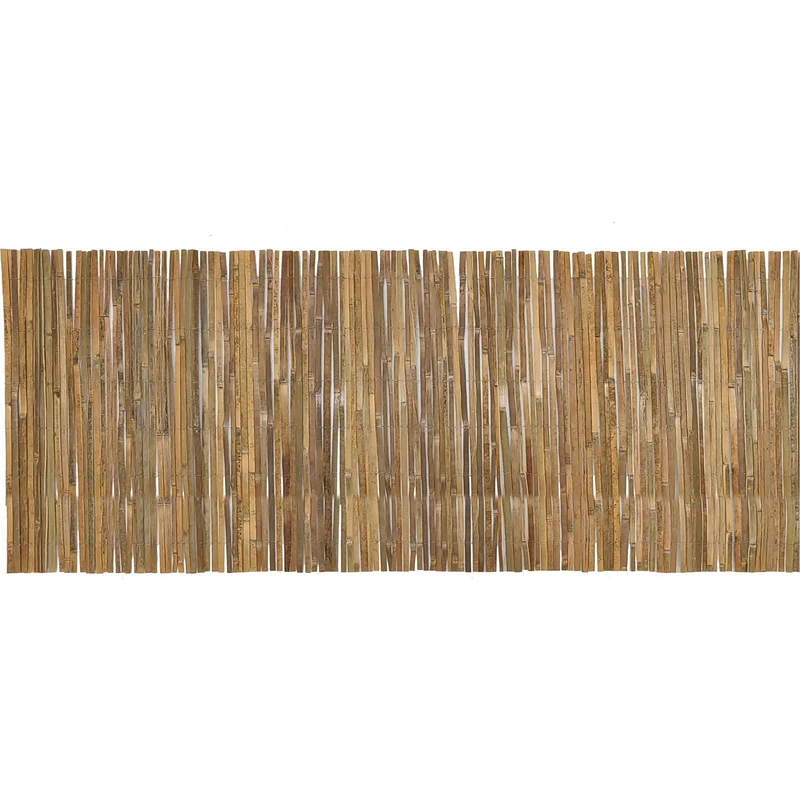 rssg244bb2c